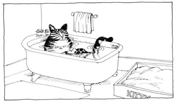 bain pour 2-humourenvrac